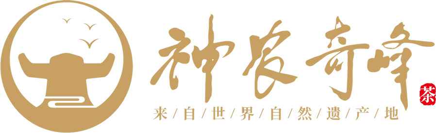 1607849314153763.jpg 1.jpg